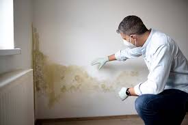 Reliable Syracuse, NY Mold Inspection Solutions